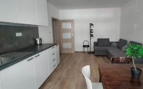 Apartment Gorkeho